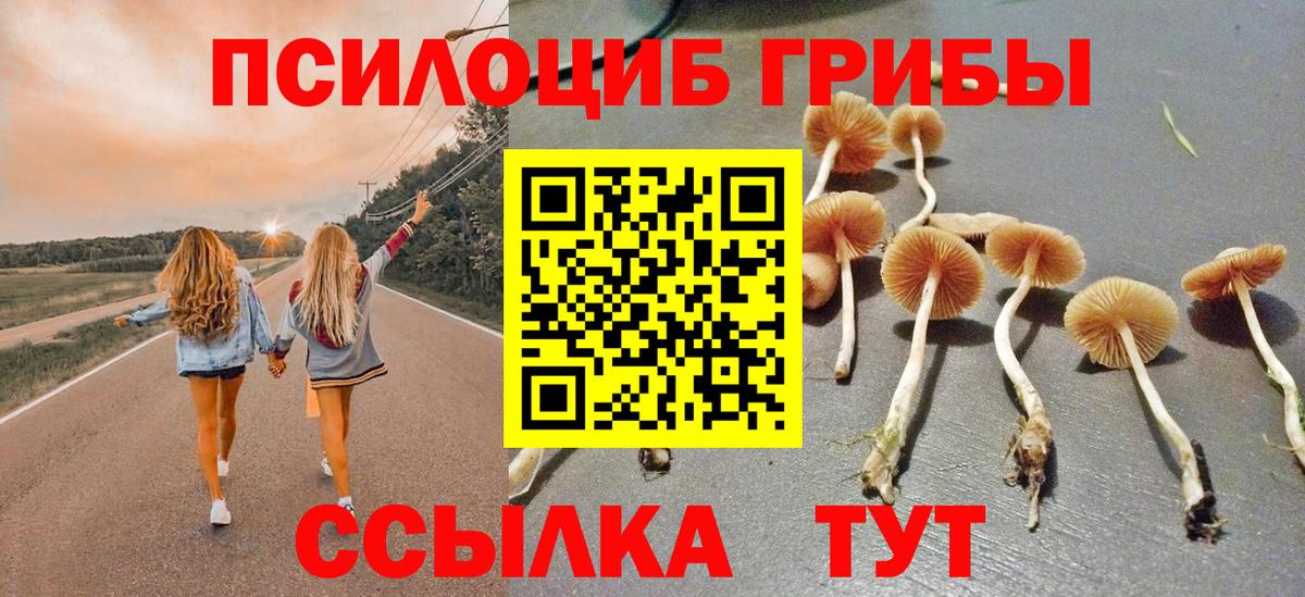 Псилоцибиновые грибы мицелий  наркота  Таганрог  Вход с VPN 